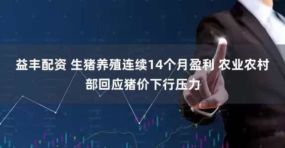 益丰配资 生猪养殖连续14个月盈利 农业农村部回应猪价下行压力